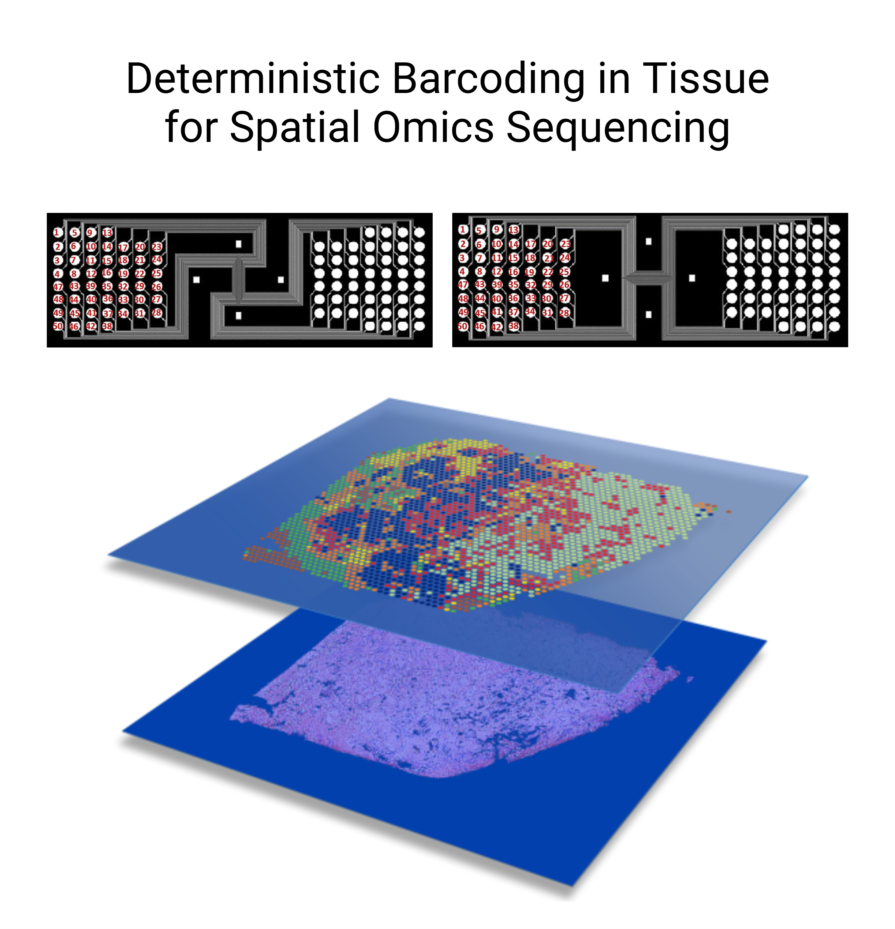 spatial-omics.jpeg